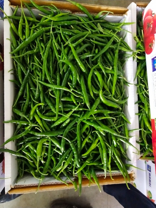 G4 Green Chilli from India